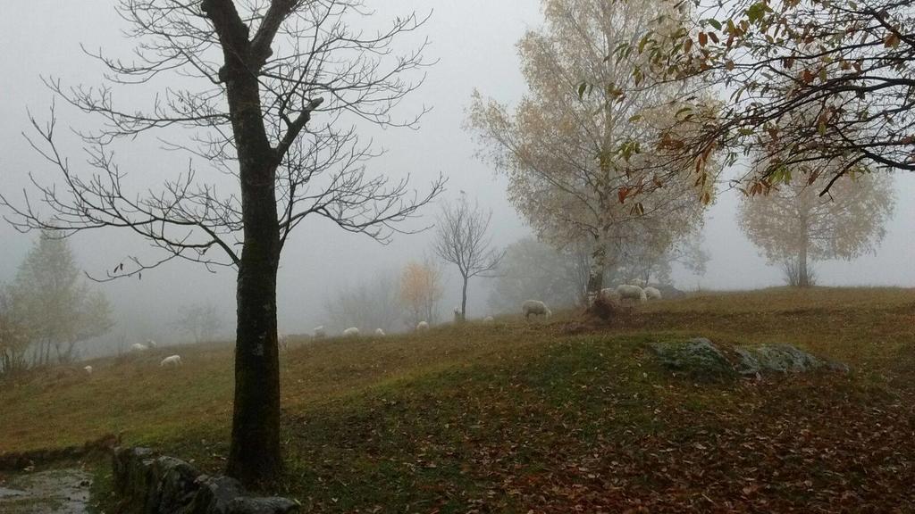 Country house Rifugio Uschione *