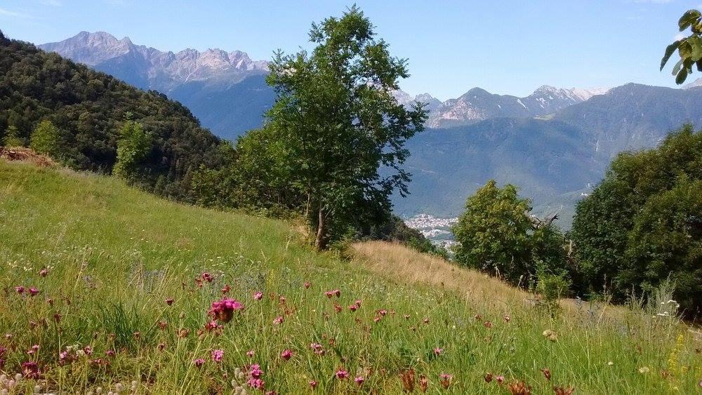 Rifugio Uschione Country house Chiavenna